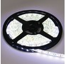 ECOLA P5LD14ESB LED strip PRO 14.4W/12V/60Led/6000K 10mm 5м