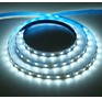 ECOLA S2LD14ESB LED strip STD 14.4W/m 12V IP20 10mm 60Led/m 6000K 5м