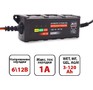 AVS BT1S для автомобильного аккумулятора (1A, 20W) 6/12V