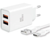 AKSBERRY (6900203240019) T38 2 USB 2.4A + TypeC белый