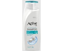 ACTIVE Шампунь увлажняющий CARE & BEAUTY. С протеинами шелка и витамином B5, 350 мл (512102051)