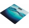 ENERGY EN422C USB