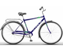 STELS Avangard 300 28C (20