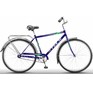 STELS Avangard 300 28C (20