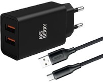 AKSBERRY (6900209230014) T38 2 USB 2.4A + кабель Type C, черный