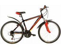 PIONEER COWBOY 26