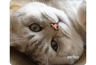 PERFEO (PF_D0654) 