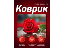 PERFEO (PF_E1776) ЦВЕТЫ