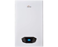 FERROLI Vitabel F24 настенный, 2 конт., закр. кам. Сгор