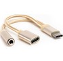 АТОМ (31041) USB TypeC3,5 Jack/USB TypeC , золотой
