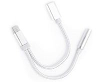 АТОМ (31043) USB TypeC3,5 Jack/USB TypeC, серебряный