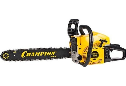 CHAMPION 25618
