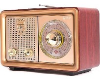 БЗРП РП324BT УКВ 64108МГц, бат. 2*R20, 220V, USB/microSD/AUX, лупа