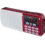 PERFEO (PF_5026) ЕГЕРЬ i120RED, красный