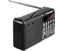 PERFEO (PFA4870) PALM черный