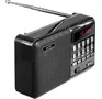 PERFEO (PFA4870) PALM черный