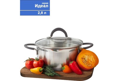 TIMA ИДЕАЛ 2,8л, с 2мя носиками, с крышкой, с силикон. ручками ID2028