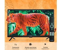 SKYLINE 24YST5970 HD SMART TV Android