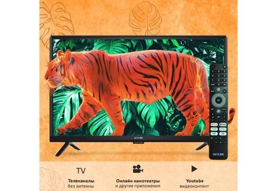 SKYLINE 24YST5970 HD SMART TV Android