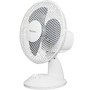 BLACKTON Bt F1121 WhiteGray