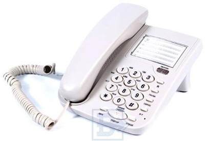 ВЕКТОР 555/06 WHITE