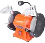 PATRIOT 160301533 GM 150 PL EXPERT