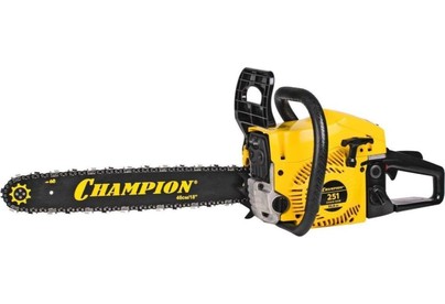 CHAMPION 25118