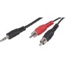 REXANT (174204) 3.5мм х 2RCA 3м