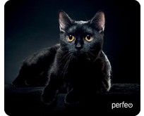 PERFEO (PF_D0665) 