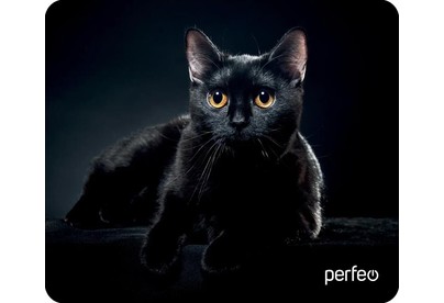 PERFEO (PF_D0665) 