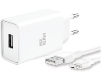 AKSBERRY (6900221570013) T40 1USB 24A + MicroUSB (белый)