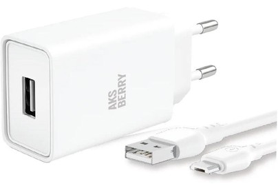 AKSBERRY (6900221570013) T40 1USB 24A + MicroUSB (белый)