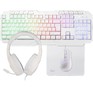 SMARTBUY (SBC610GW) F10 белый
