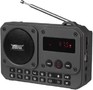 RITMIX RPR010, черный