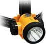 КОСМОС KOCH3WLION