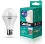 CAMELION (13573) LED25A65/865/E27/6500K