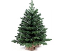 ROYAL CHRISTMAS SPITSBERGEN PE/ PVC TABLE  75CM 977075