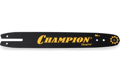 CHAMPION 14