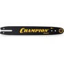CHAMPION 14