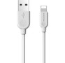 BOROFONE (6957531089971) BX14 USBLightning 8 Pin 2.A 1м белый