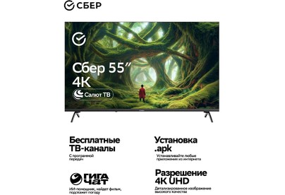 SBER SDX 55U5500DBB