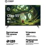 SBER SDX 55U5500DBB